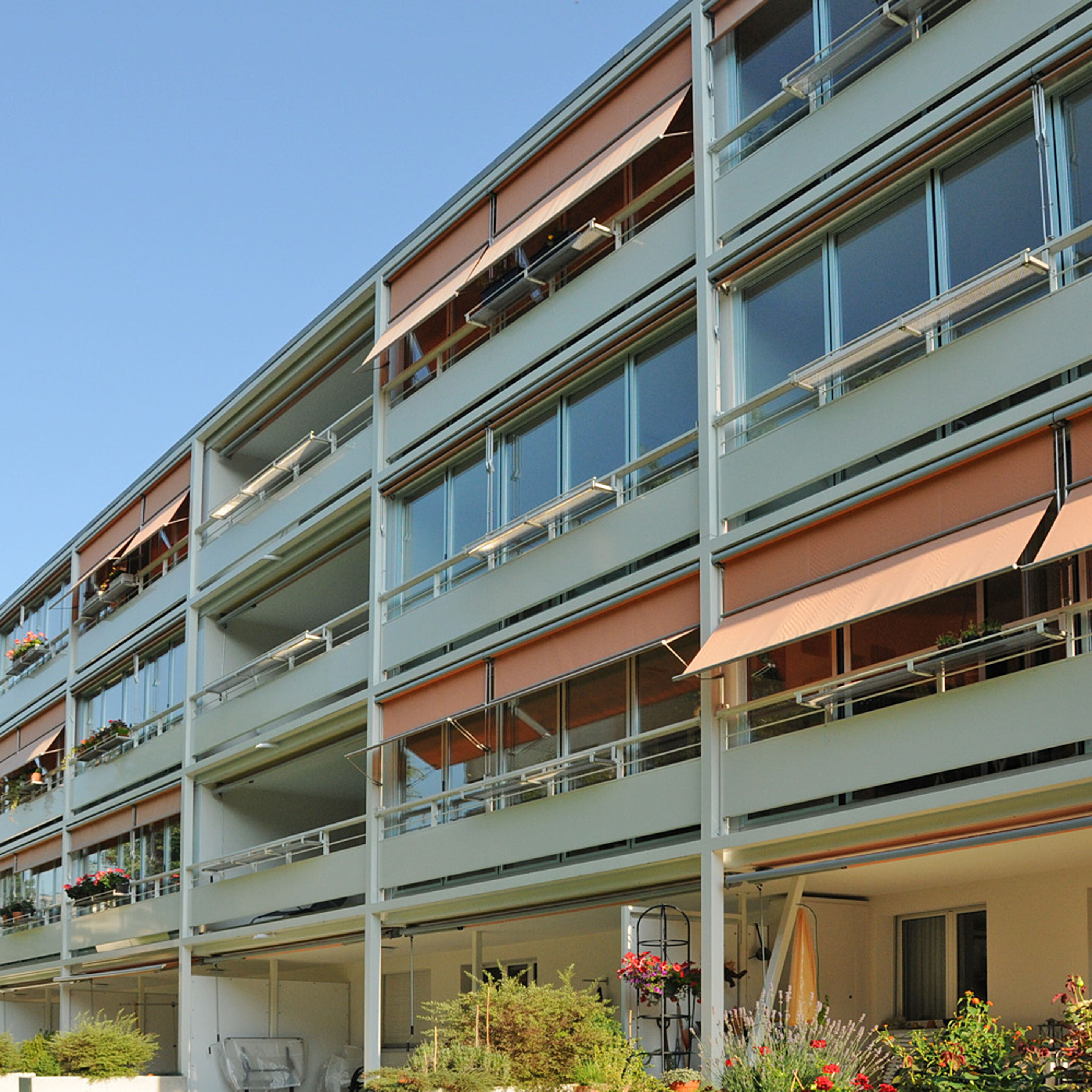 MFH Schaufelbergerstrasse